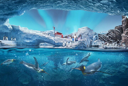 SEAWORLD ABU DHABI UNVEILS FOUR MORE REALMS BEFORE LAUNCH ON YAS ISLAND  